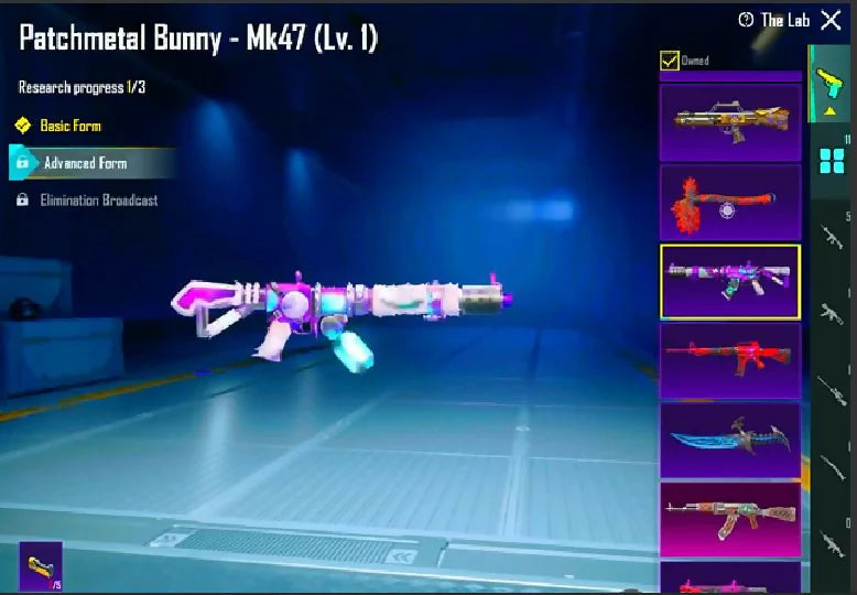 MF 25 11x Gun-Lab 1x Kill Msg M416 Glacier Lv4 AKM Codebreaker Lv2 The Gunslinger Set Levi Character Set Cycle 8 Mask Hard Inventory