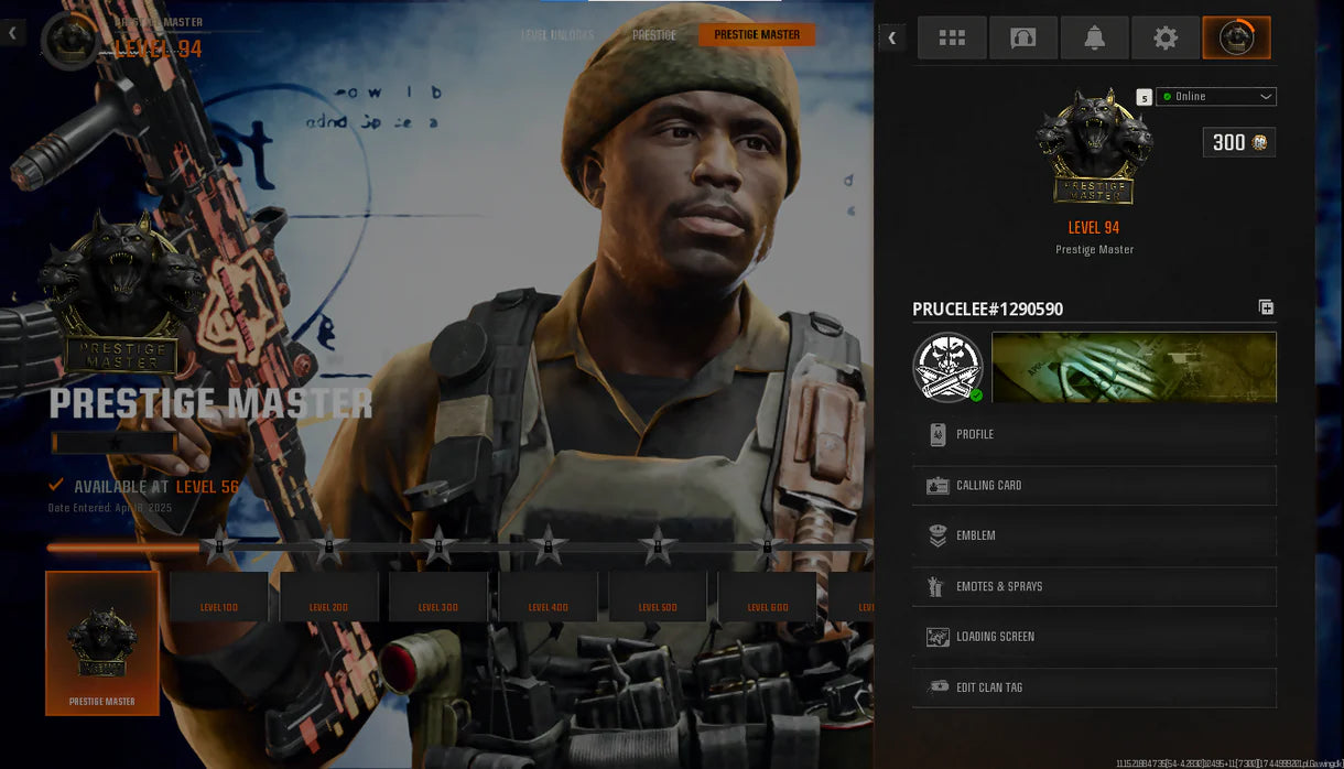✨【 Prestige Master + Level 60 】✔ 2 Maxed Guns ✔ Linkable to STEAM / BNET / XBOX / PSN