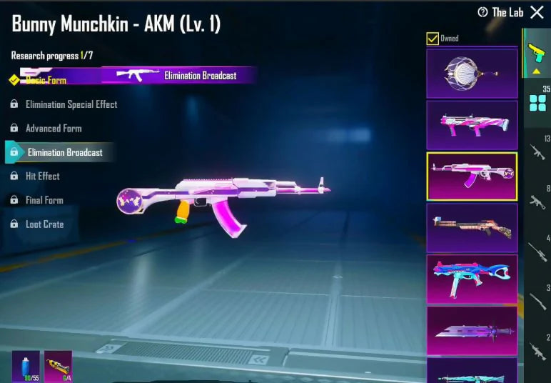 2 combinaisons X niv. 2 G Pharaon 2⭐ Anukhraaa 2⭐ 36 Gunlabs M416 Glacier Max AKM Glacier niv. 6 132 Mythics Ananas Set Inferno Helm Anniv. Mirado 4 armes max 7 Kill Msg S4 Face Pony Beard Strong Lab Mythic Fash 132/300